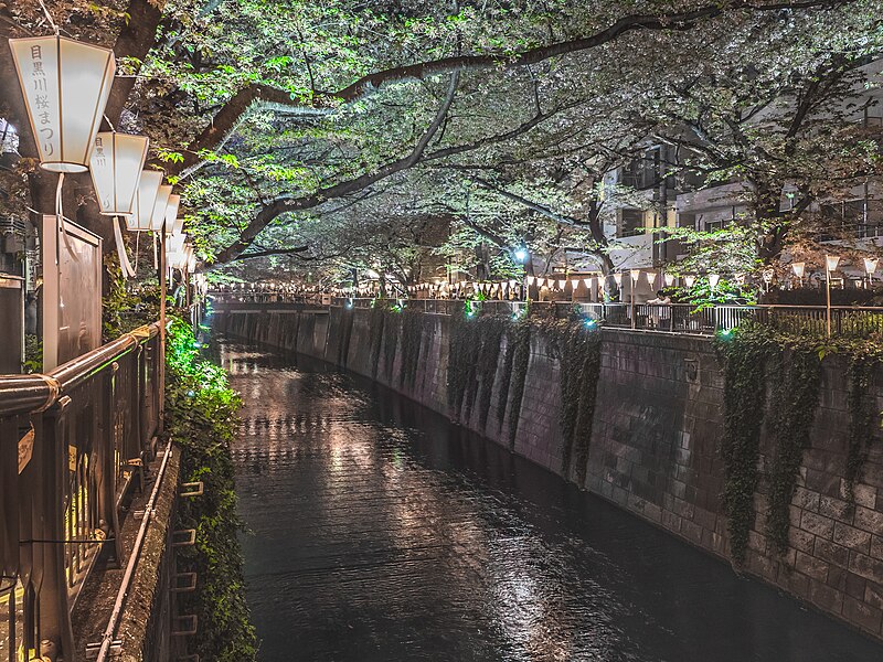 Special ward in Kantō, Japan